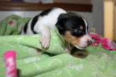 Enlarge photo 13