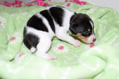 Enlarge photo 15