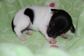Enlarge photo 16