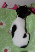 Enlarge photo 17