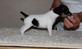Enlarge photo 12