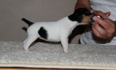 Enlarge photo 11