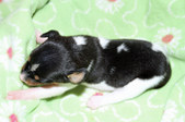 Enlarge photo 22