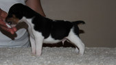 Enlarge photo 16