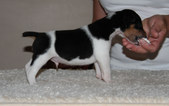 Enlarge photo 15