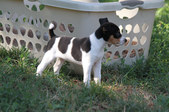 Enlarge photo 15