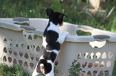 Enlarge photo 14
