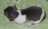 Enlarge photo 15