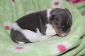 Enlarge photo 16