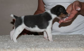 Enlarge photo 12