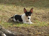 Enlarge photo 16
