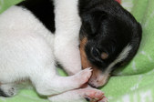 Enlarge photo 16