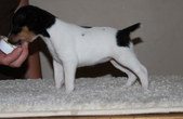 Enlarge photo 11