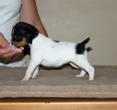 Enlarge photo 14