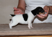 Enlarge photo 13