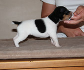 Enlarge photo 12