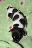Enlarge photo 16