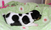 Enlarge photo 15