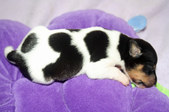 Enlarge photo 20