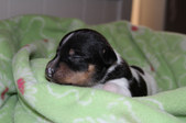 Enlarge photo 14