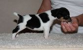 Enlarge photo 10