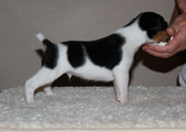 Enlarge photo 12