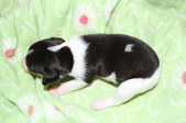 Enlarge photo 16
