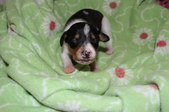 Enlarge photo 15