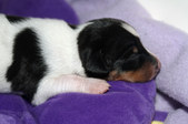 Enlarge photo 22