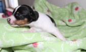 Enlarge photo 17