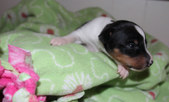 Enlarge photo 16