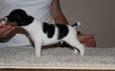 Enlarge photo 13