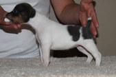 Enlarge photo 13