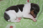 Enlarge photo 17