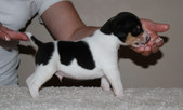 Enlarge photo 12
