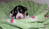 Enlarge photo 15