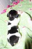 Enlarge photo 16