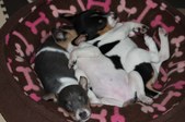 Enlarge photo 14