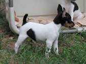Enlarge photo 7