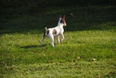 Enlarge photo 17