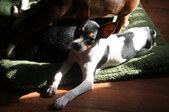 Enlarge photo 16