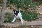 Enlarge photo 21