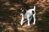 Enlarge photo 19