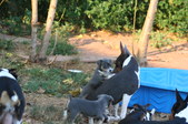 Enlarge photo 4