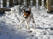 Enlarge photo 15