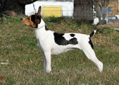 Enlarge photo 22