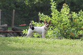 Enlarge photo 8
