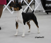 Enlarge photo 16