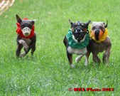 Enlarge photo 23
