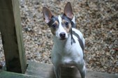 <b>Stitch</b>